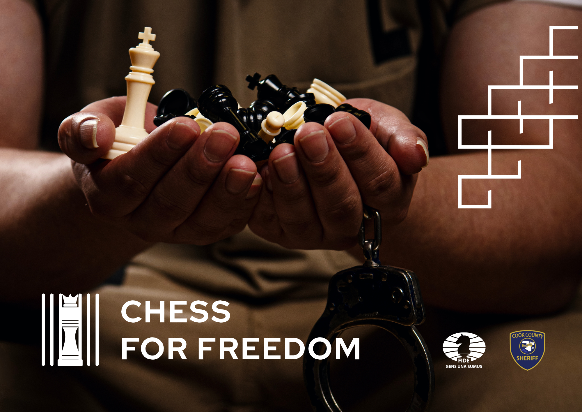 Chess Champion Projects  Photos, videos, logos, illustrations and